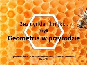 Geometria w przyrodzie