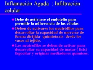 Inflamacin Aguda Infiltracin celular u Debe de activarse