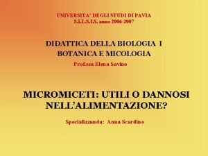 UNIVERSITA DEGLI STUDI DI PAVIA S I L