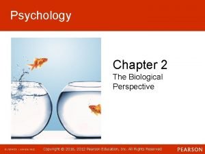 Psychology Chapter 2 The Biological Perspective Copyright 2016