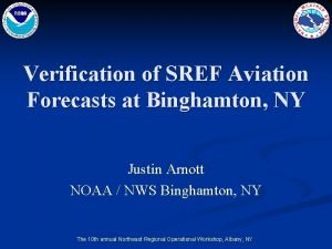 Verification of SREF Aviation Forecasts at Binghamton NY