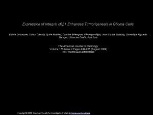 Expression of Integrin 6 1 Enhances Tumorigenesis in