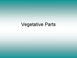 Vegetative parts of plants