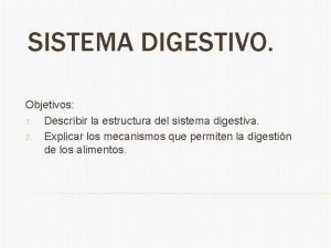 Objetivo general del sistema digestivo