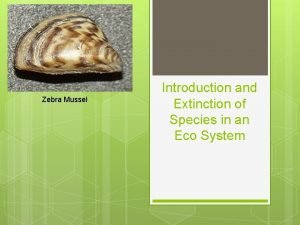 Zebra Mussel Introduction and Extinction of Species in