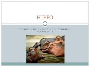 Hippo apush meaning