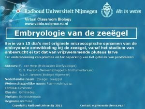 Embryologie van de zeegel Serie van 15 dias