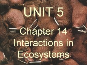 Unit 5 ecology