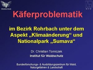 Waldschutz Kferproblematik im Bezirk Rohrbach unter dem Aspekt
