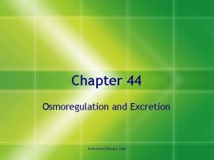 Chapter 44 Osmoregulation and Excretion travismulthaupt com Osmoregulation