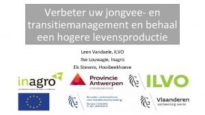 Verbeter uw jongvee en transitiemanagement en behaal een