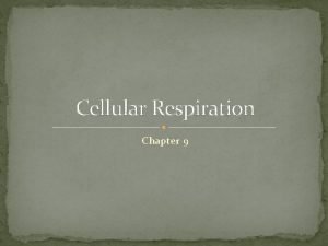 Cellular Respiration Chapter 9 Cellular Respiration A series