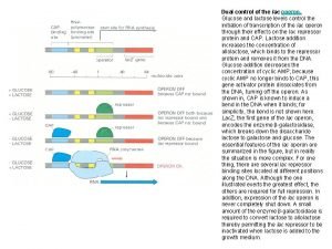 Operon