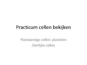 Practicum cellen bekijken Plantaardige cellen plastiden Dierlijke cellen