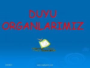 Vucut dengemizi sağlayan duyu organımız hangisidir