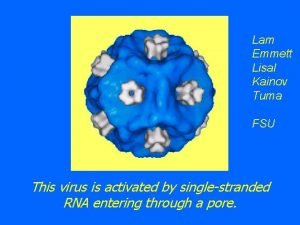 Lam Emmett Lisal Kainov Tuma FSU This virus