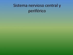 Sistema nervioso central y perifrico Sistema nervioso central