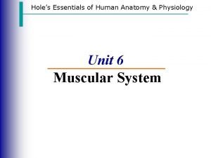 Holes Essentials of Human Anatomy Physiology Unit 6