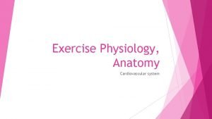 Exercise Physiology Anatomy Cardiovascular system Exercise Physiology Bell