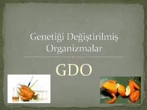 Genetii Deitirilmi Organizmalar GDO GM Crops Costs and