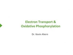 Electron Transport Oxidative Phosphorylation Dr Kevin Ahern Biological