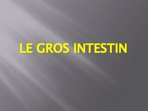 LE GROS INTESTIN Le gros intestin Introduction Structure