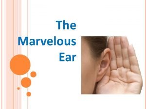The marvelous ears
