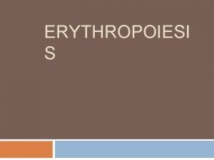 Factors affecting erythropoiesis ppt