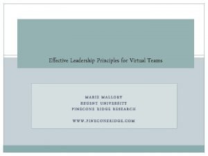 Principles of effective leadership in virtual teams