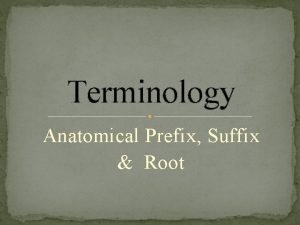Terminology Anatomical Prefix Suffix Root TerminologyIntroduction Grab wkst