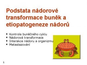 Podstata ndorov transformace bunk a etiopatogeneze ndor 1