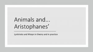 Animals and Aristophanes Lysistrata and Wasps in theory