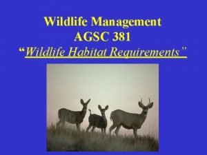 Wildlife Management AGSC 381 Wildlife Habitat Requirements What
