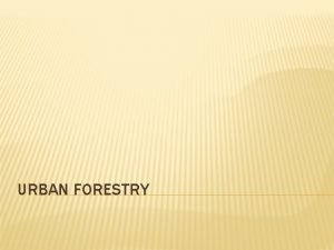 URBAN FORESTRY WHAT IS URBAN FORESTRY Urban Forestry