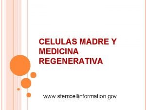 CELULAS MADRE Y MEDICINA REGENERATIVA www stemcellinformation gov