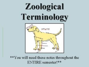 Zoological Terminology You will need these notes throughout