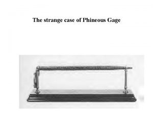 The strange case of Phineous Gage Phineous Gage