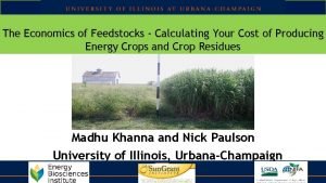 The Economics of Feedstocks Calculating Your Cost of