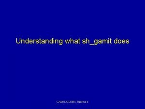 Understanding what shgamit does GAMITGLOBK Tutorial 4 Email