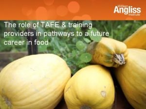 The role of TAFE training providers in pathways