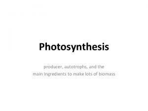 Ingredients of photosynthesis