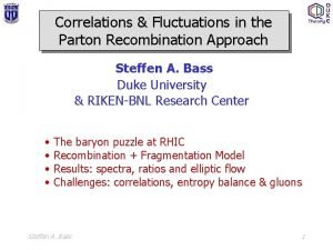 Correlations Fluctuations in the Parton Recombination Approach Steffen
