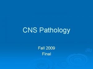 CNS Pathology Fall 2009 Final INFLAMMATORY DISEASE OF