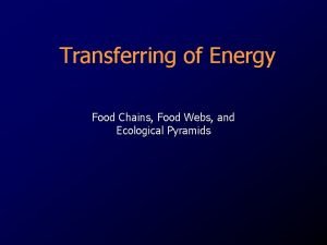 Transferring of Energy Food Chains Food Webs and