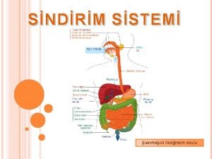 SNDRM SSTEM akrhyk ilkretim okulu Canllarn eneri elde