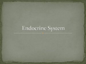 Endocrine System ENDOCRINE SYSTEM The endocrine system is