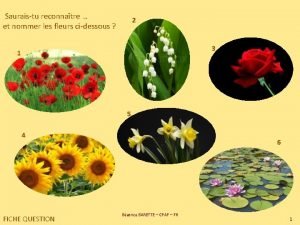 Sauraistu reconnatre et nommer les fleurs cidessous 2