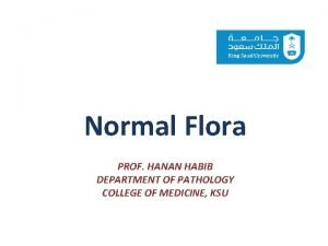 Normal Flora PROF HANAN HABIB DEPARTMENT OF PATHOLOGY