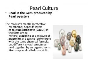 Pearl Culture Pearl is the Gem produced by