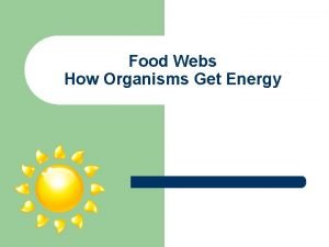 Organisms that are producers Organisms that are producers